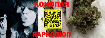 СК Новокубанск