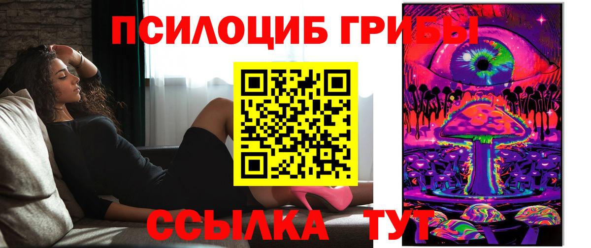Псилоцибиновые грибы Psilocybine cubensis  Вход с VPN  Сызрань  Псилоцибиновые грибы Psilocybe 